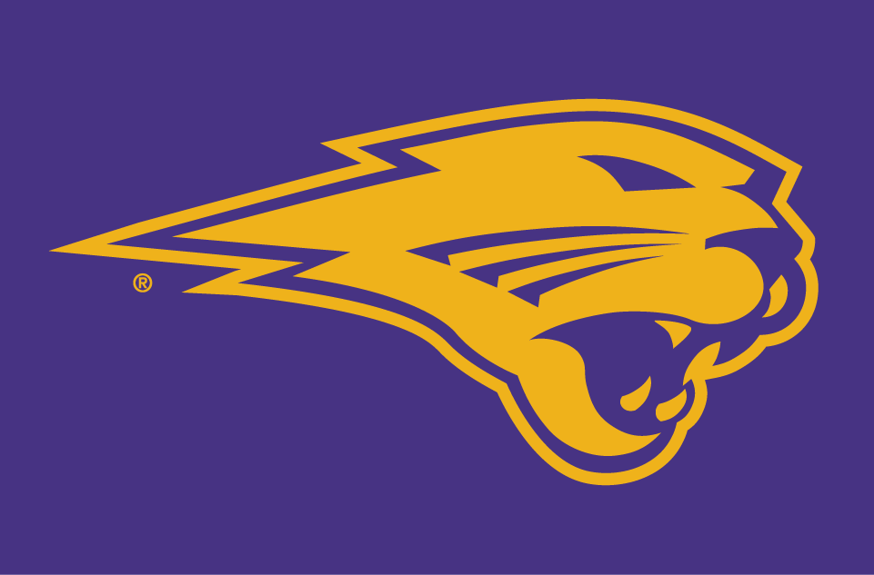 Northern Iowa Panthers 2002-Pres Partial Logo v3 diy fabric transfer